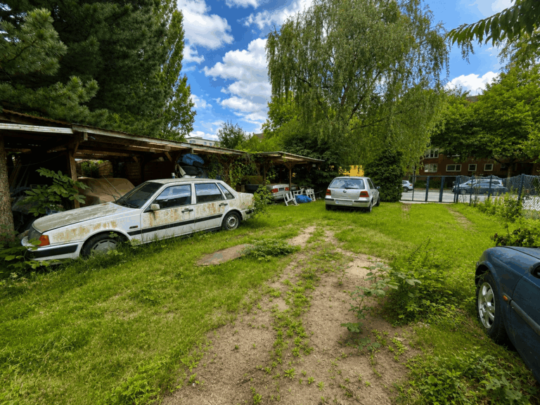 Ist-Zustand Garten